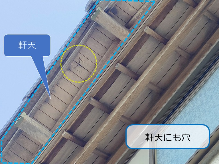 貝塚市　軒天　軒天にも穴